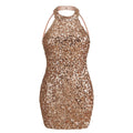 After Dark Sequined Dress