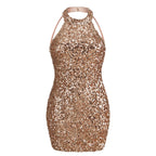 After Dark Sequined Dress