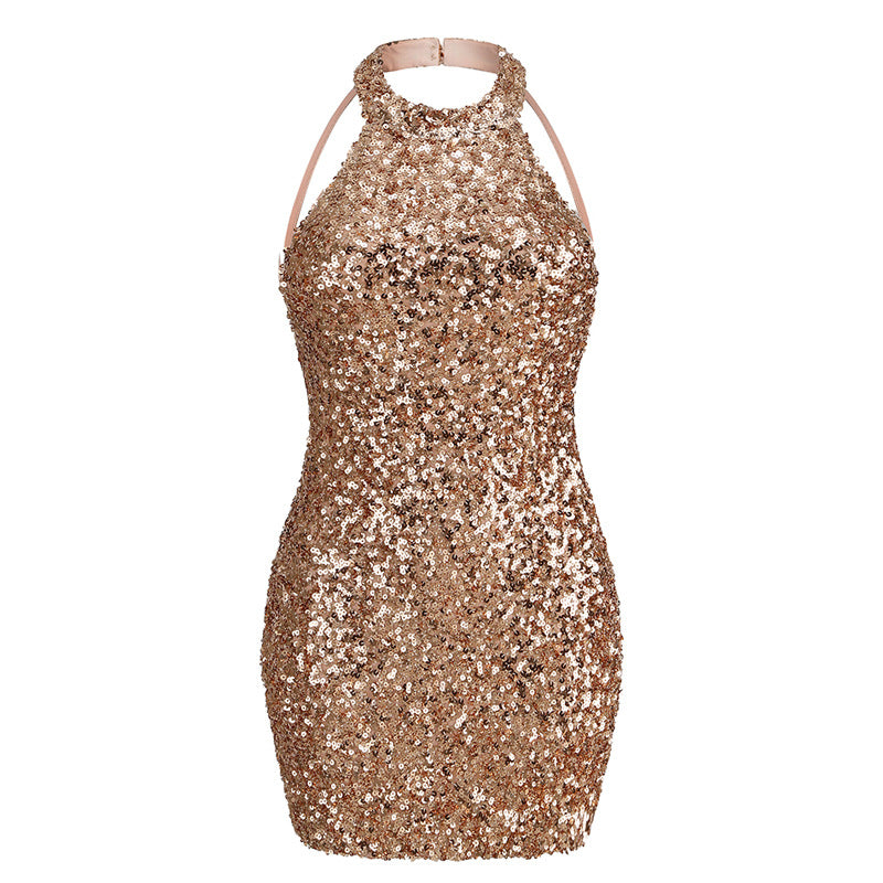 After Dark Sequined Dress