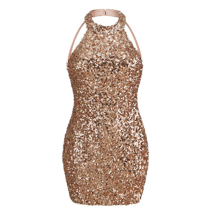 After Dark Sequined Dress
