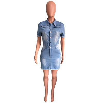Classic Denim Dress